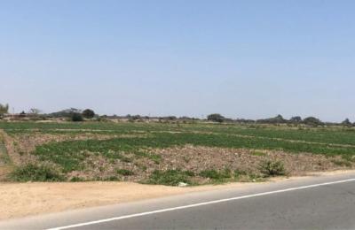 VENTA DE AMPLIO TERRENO EN LAMBAYEQUE